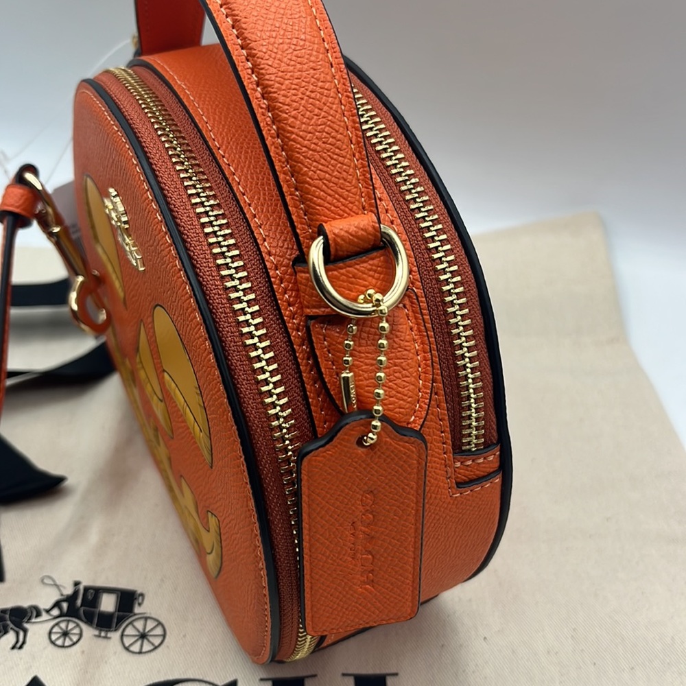 Coach Pumpkin Canteen Crossbody - Picture 6 of 12